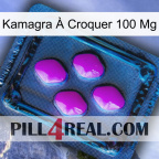 Kamagra À Croquer 100 Mg 04